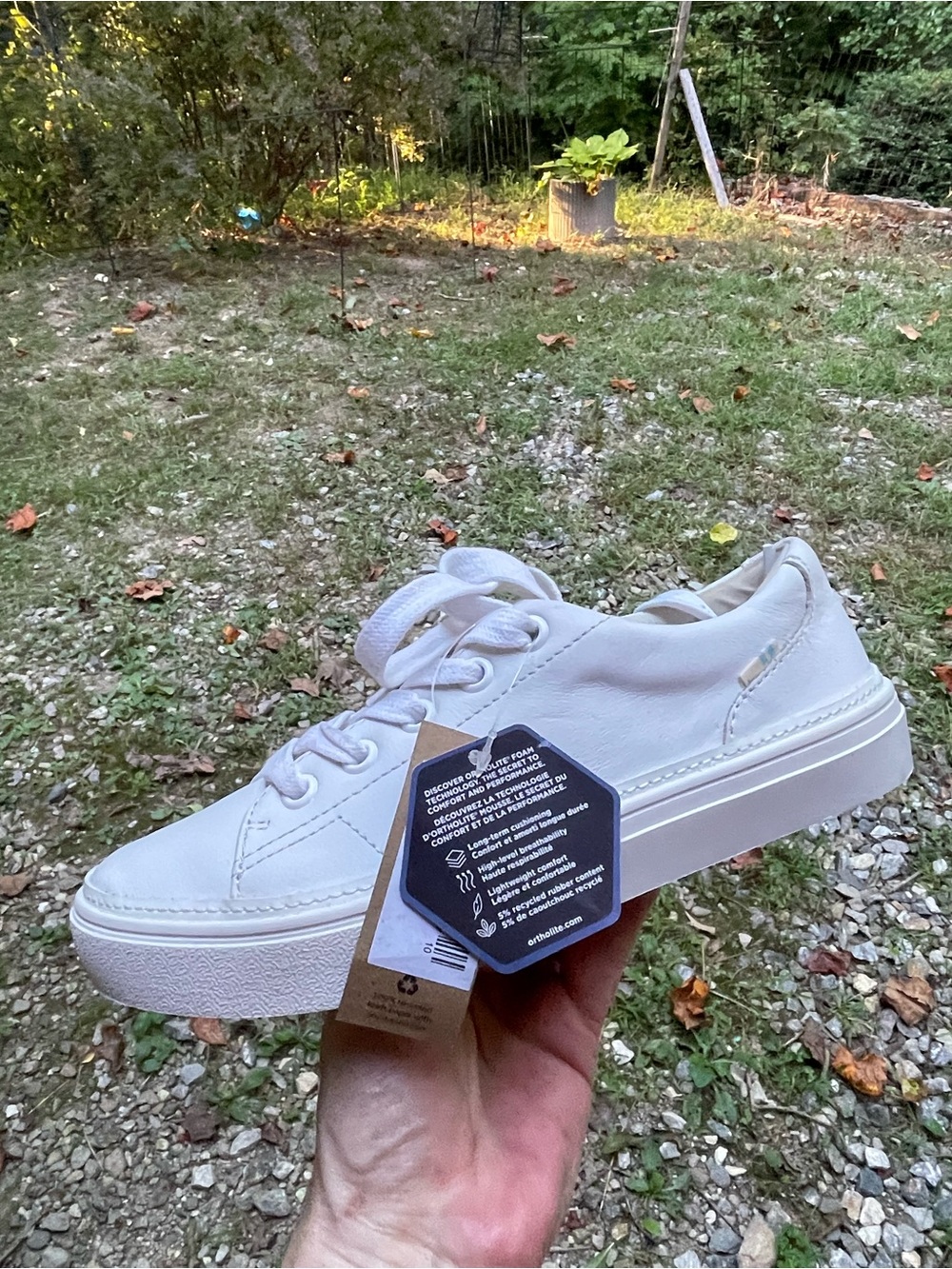 NWT Toms Alex White Leather Sneakers Size 6